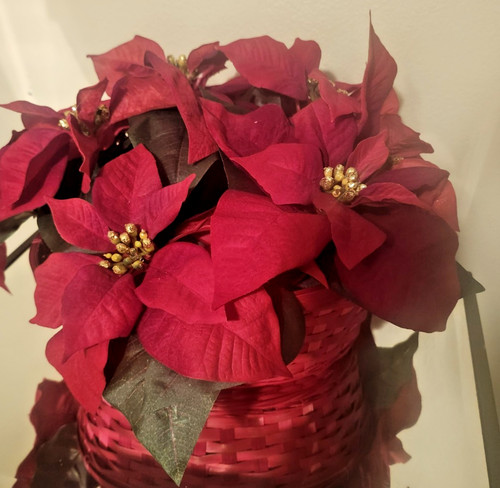 Artificial red poinsettia - red,